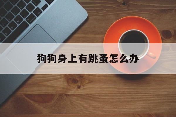 狗狗身上有跳蚤怎么办(狗狗身上有跳蚤怎么办怎么尽快去除)
