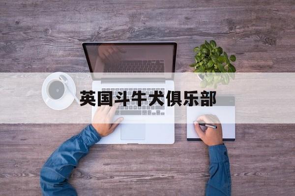 英国斗牛犬俱乐部(英国斗牛犬幼犬价格)