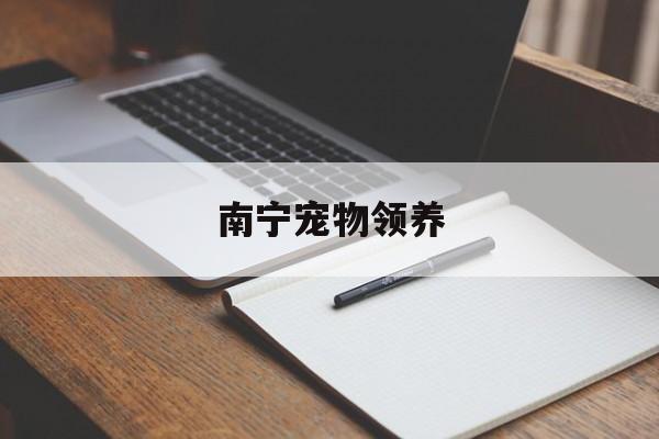 南宁宠物领养(南宁宠物领养中心)