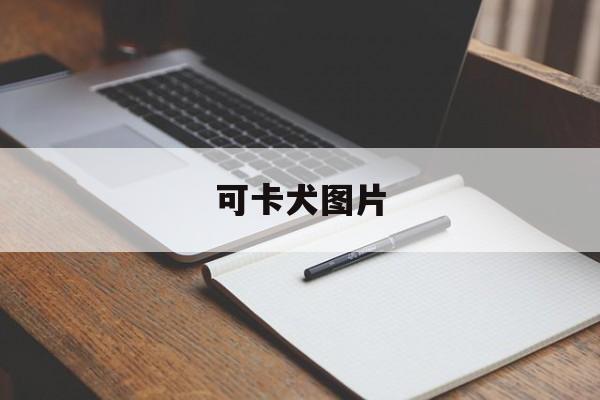 可卡犬图片(短毛可卡犬图片)