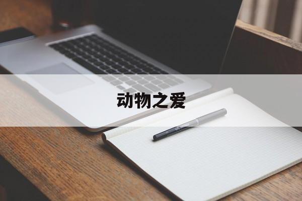 动物之爱(动物之爱第一集 澳大利亚的一天 袋鼠的求偶过程)