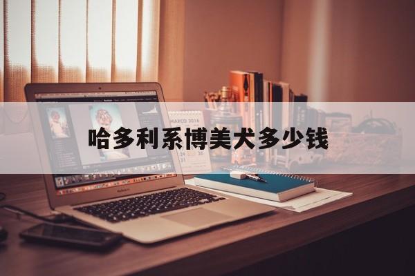 哈多利系博美犬多少钱(哈多利系博美犬多少钱一只白色的)