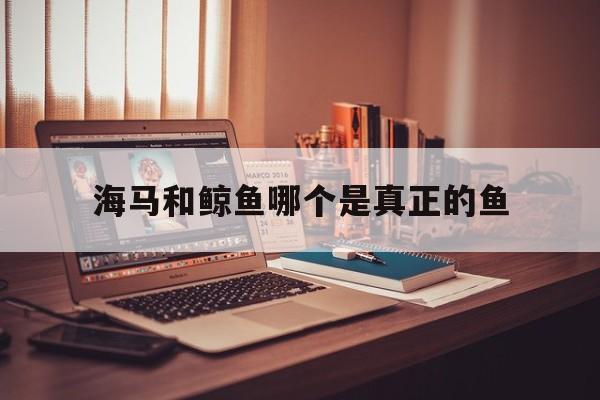 海马和鲸鱼哪个是真正的鱼(海马和其它鱼类繁殖是一样的吗)