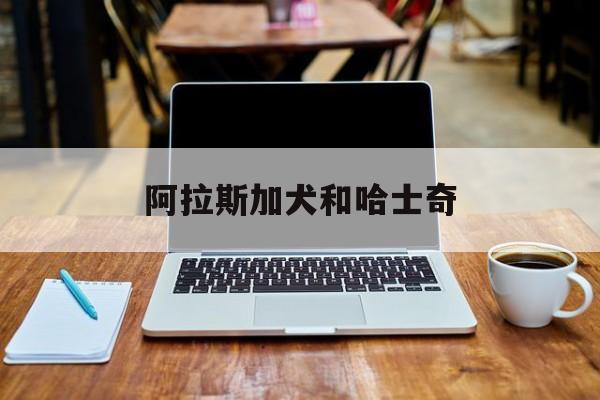 阿拉斯加犬和哈士奇(阿拉斯加犬和哈士奇哪个好养)