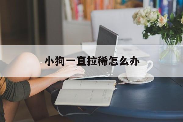 小狗一直拉稀怎么办(小狗一直拉稀怎么办吃什么药)