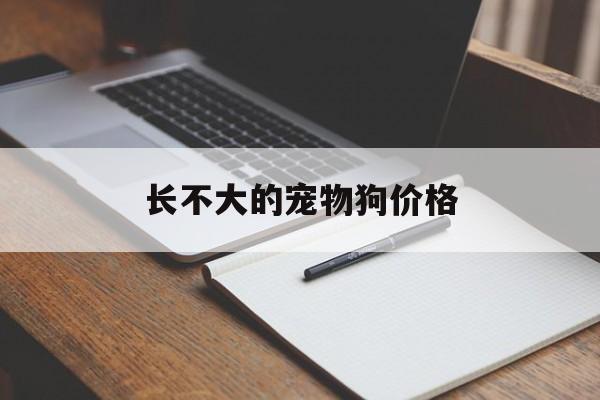 长不大的宠物狗价格(长不大的宠物狗价格多少钱)