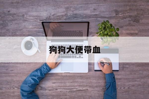 狗狗大便带血(狗狗大便带血怎么治疗)