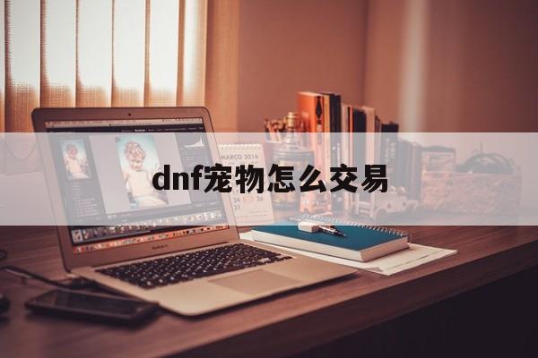 dnf宠物怎么交易(dnf2021宠物可以交易吗)