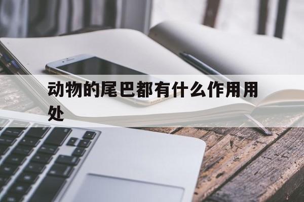 动物的尾巴都有什么作用用处(动物的尾巴都有什么作用用处视频)