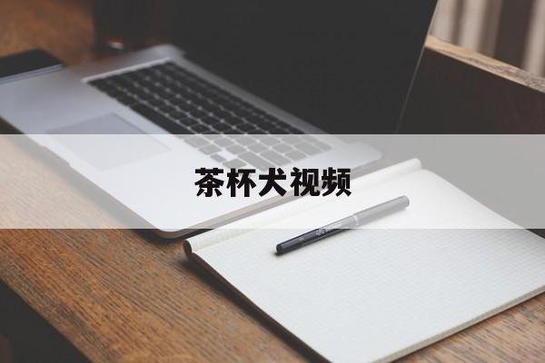 茶杯犬视频(茶杯犬视频为什么很少)