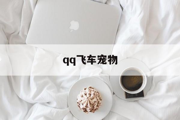 qq飞车宠物(飞车宠物排名)