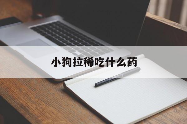 小狗拉稀吃什么药(小狗拉稀吃什么药能够快速见效?)