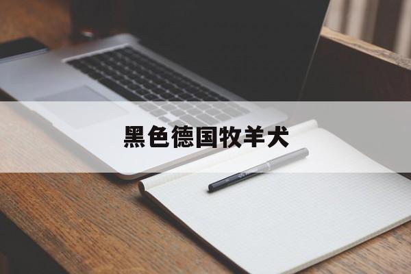 黑色德国牧羊犬(黑色德国牧羊犬幼犬)