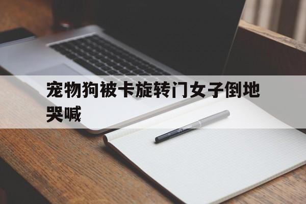 包含宠物狗被卡旋转门女子倒地哭喊的词条