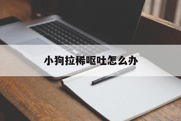小狗拉稀呕吐怎么办(小狗拉稀呕吐是什么病)