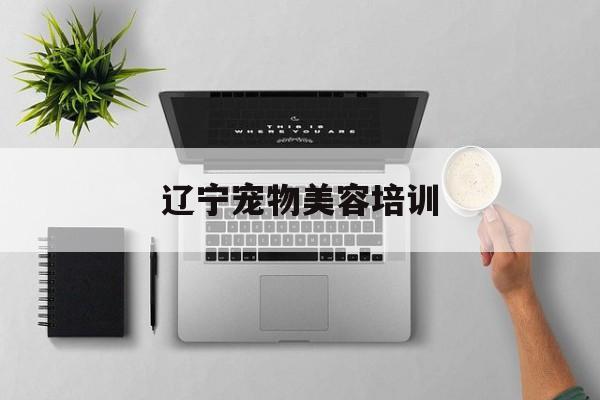 辽宁宠物美容培训(辽宁省宠物美容培训)