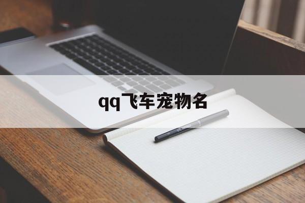 qq飞车宠物名(飞车宠物介绍)
