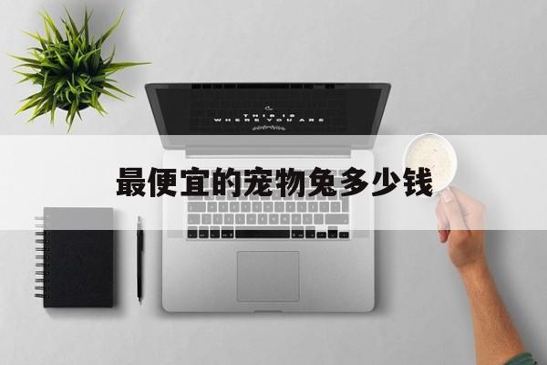 最便宜的宠物兔多少钱(最便宜的兔子多少钱一只)