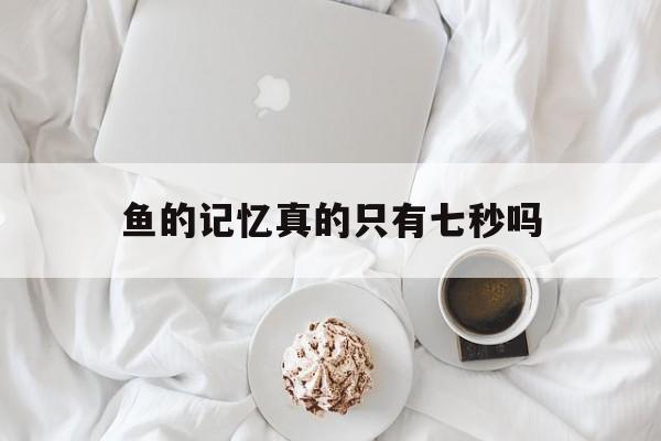 鱼的记忆真的只有七秒吗(鱼的记忆真的只有七秒吗新闻大求真)