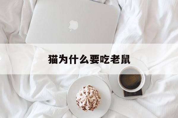 猫为什么要吃老鼠(猫为什么要吃老鼠阅读理解)