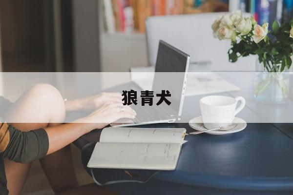 狼青犬(狼青犬多少钱一只)