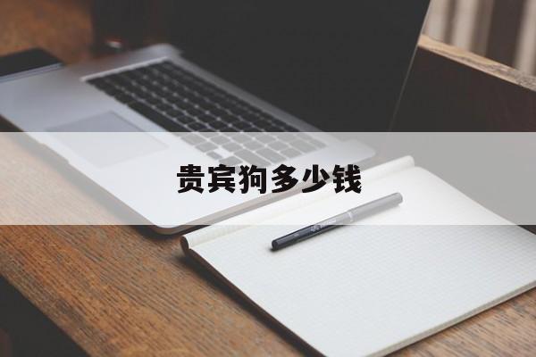 贵宾狗多少钱(贵宾狗多少钱一只狗)