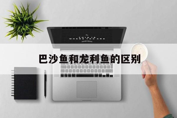 巴沙鱼和龙利鱼的区别(巴沙鱼和龙利鱼的区别哪个贵)