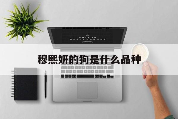 包含穆熙妍的狗是什么品种的词条