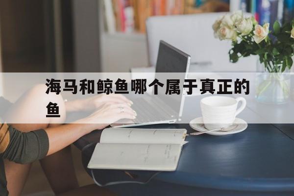 海马和鲸鱼哪个属于真正的鱼(海马和鲸鱼哪个属于真正的鱼类)