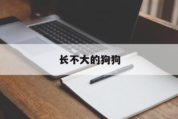 长不大的狗狗(长不大的狗狗品种图片及名称)