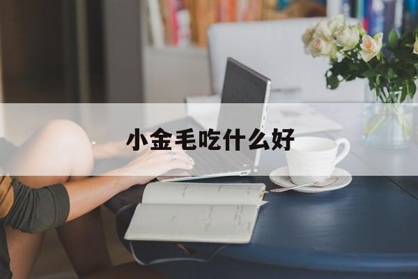 小金毛吃什么好(金毛吃什么好消化食物)