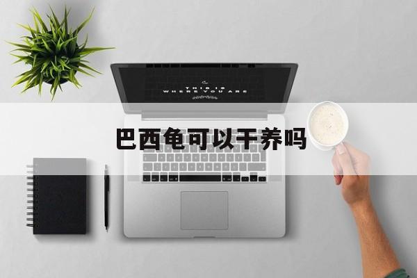 巴西龟可以干养吗(巴西乌龟可以干养吗)
