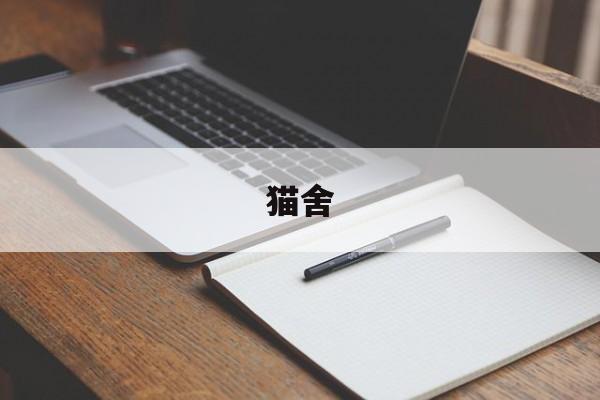 猫舍(猫舍装修效果图)