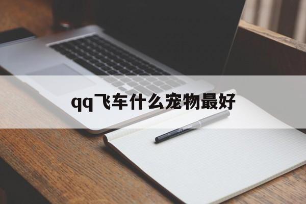 qq飞车什么宠物最好(飞车什么宠物最好用)