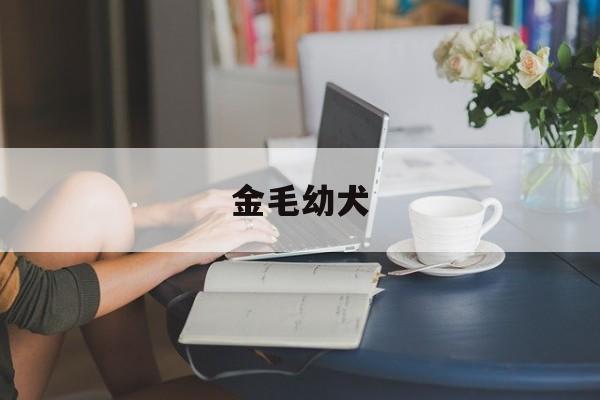 金毛幼犬(金毛幼犬怎么喂养)