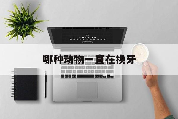 哪种动物一直在换牙(哪种动物一生中都在换牙)