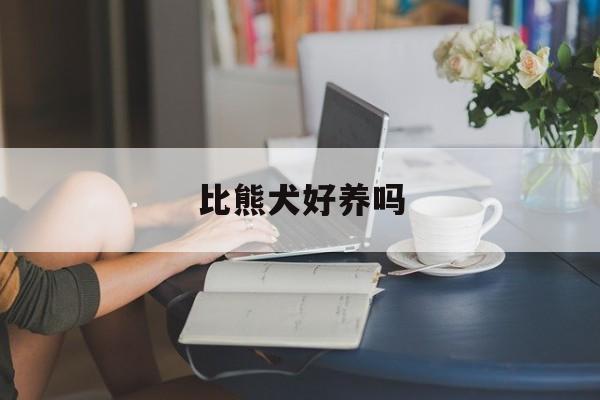 比熊犬好养吗(比熊犬好养吗 听话吗)
