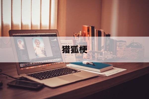 猎狐梗(猎狐梗犬图片)
