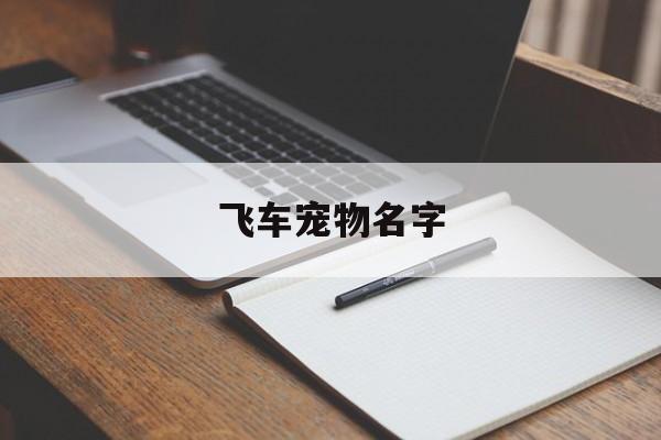 飞车宠物名字(飞车宠物图鉴在哪)