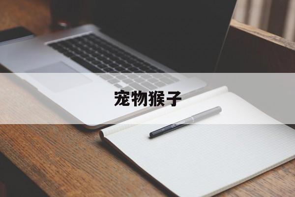 宠物猴子(宠物猴子图片)