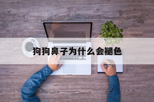 狗狗鼻子为什么会褪色(狗狗鼻子为什么会褪色变红)