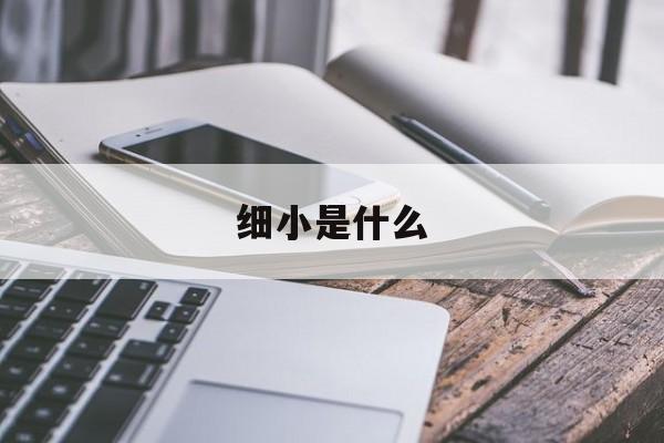 细小是什么(细小是什么病狗狗)