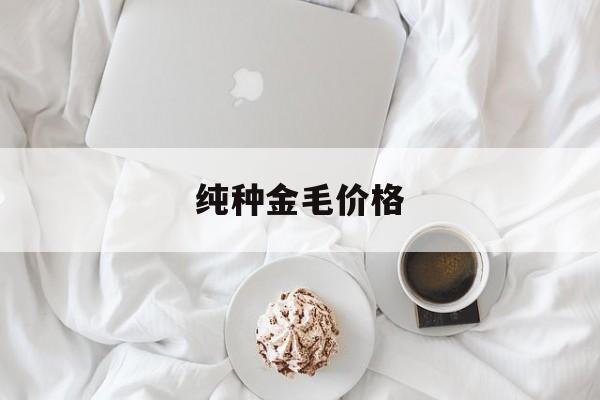 纯种金毛价格(纯种金毛价格多少钱一只)