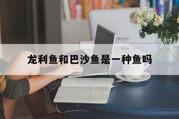 龙利鱼和巴沙鱼是一种鱼吗(龙利鱼和巴沙鱼是一种鱼吗图片)