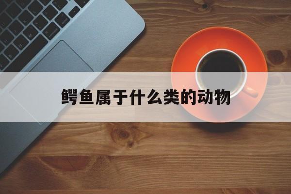 鳄鱼属于什么类的动物(鳄鱼属于什么类的动物图片)