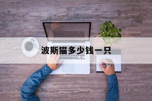 波斯猫多少钱一只(波斯猫多少钱一只幼崽)