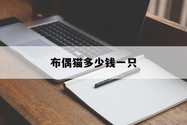 布偶猫多少钱一只(布偶猫多少钱一只幼崽)
