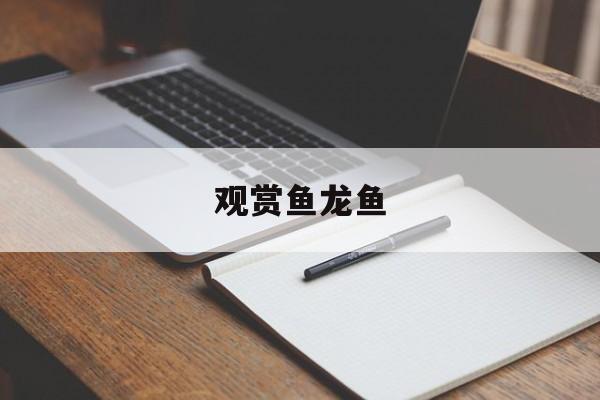 观赏鱼龙鱼(观赏鱼龙鱼有多少种)