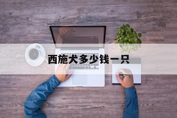 西施犬多少钱一只(西施犬多少钱一只为什么很少)