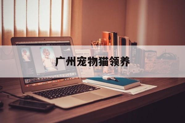 广州宠物猫领养(广州宠物猫领养中心地址)